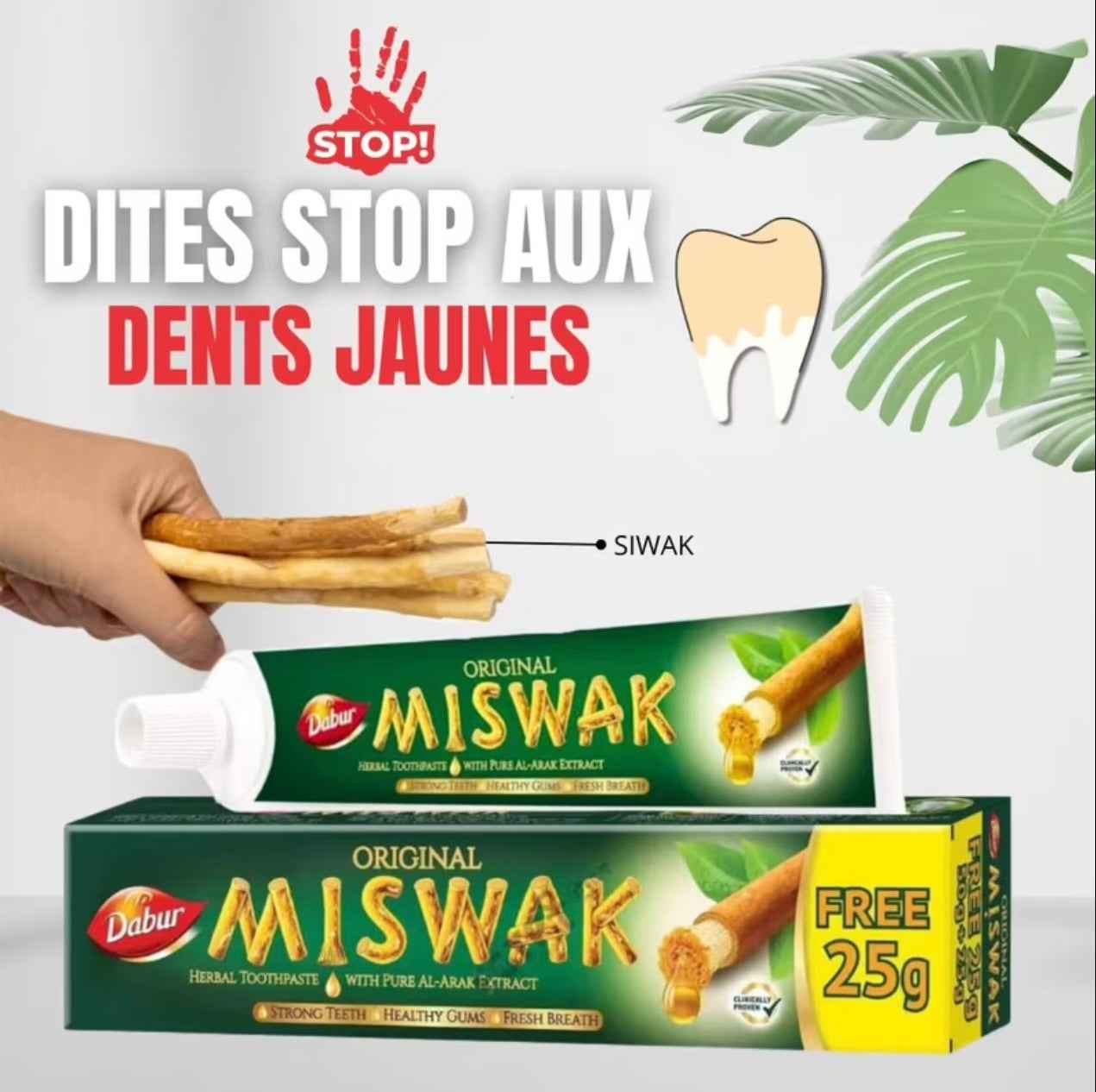 Dentifrice blancheur