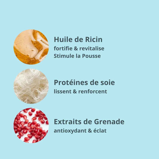 Shampoing Réparateur Hydratant à l’Huile de Ricin