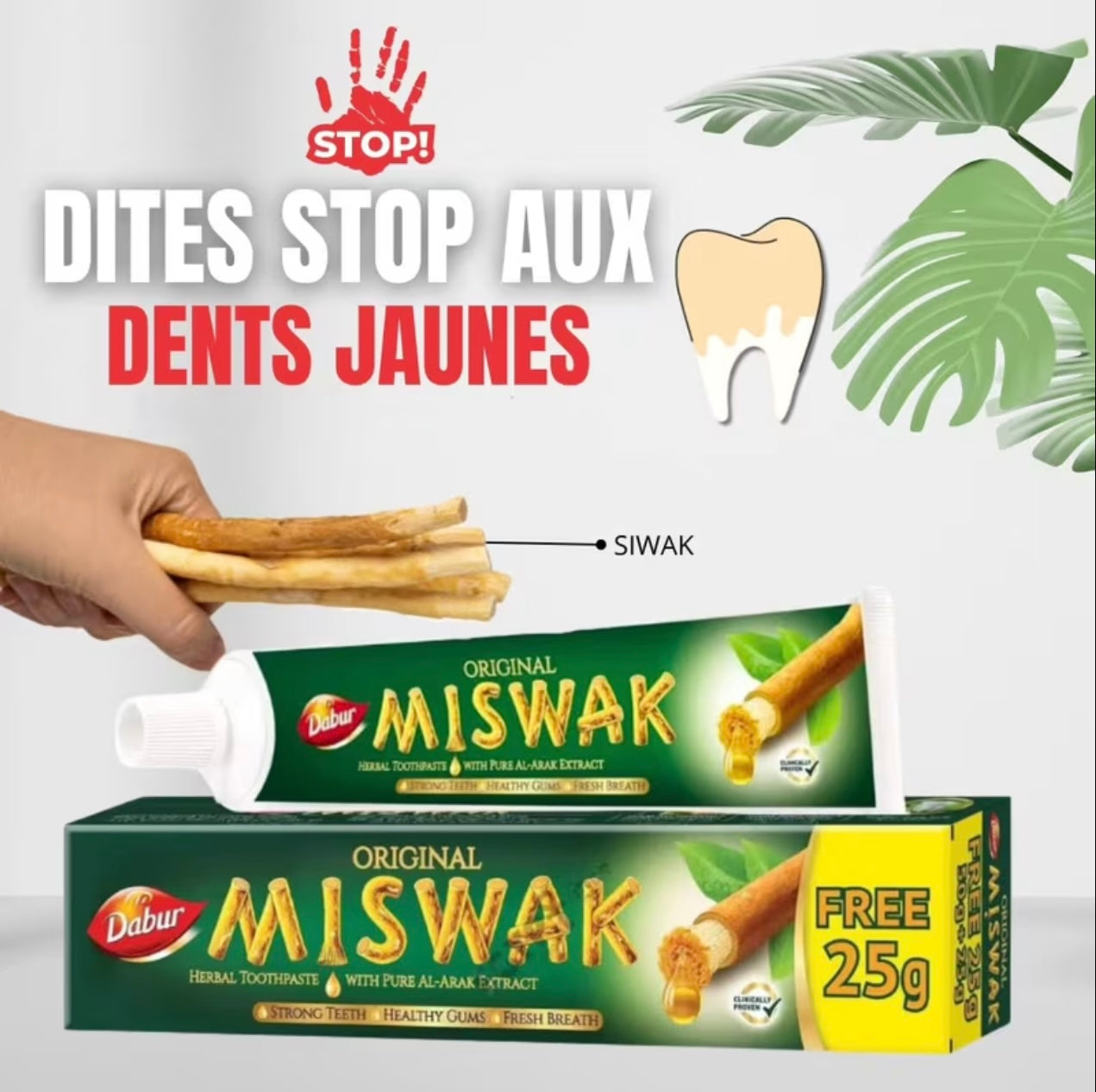 Dentifrice blancheur